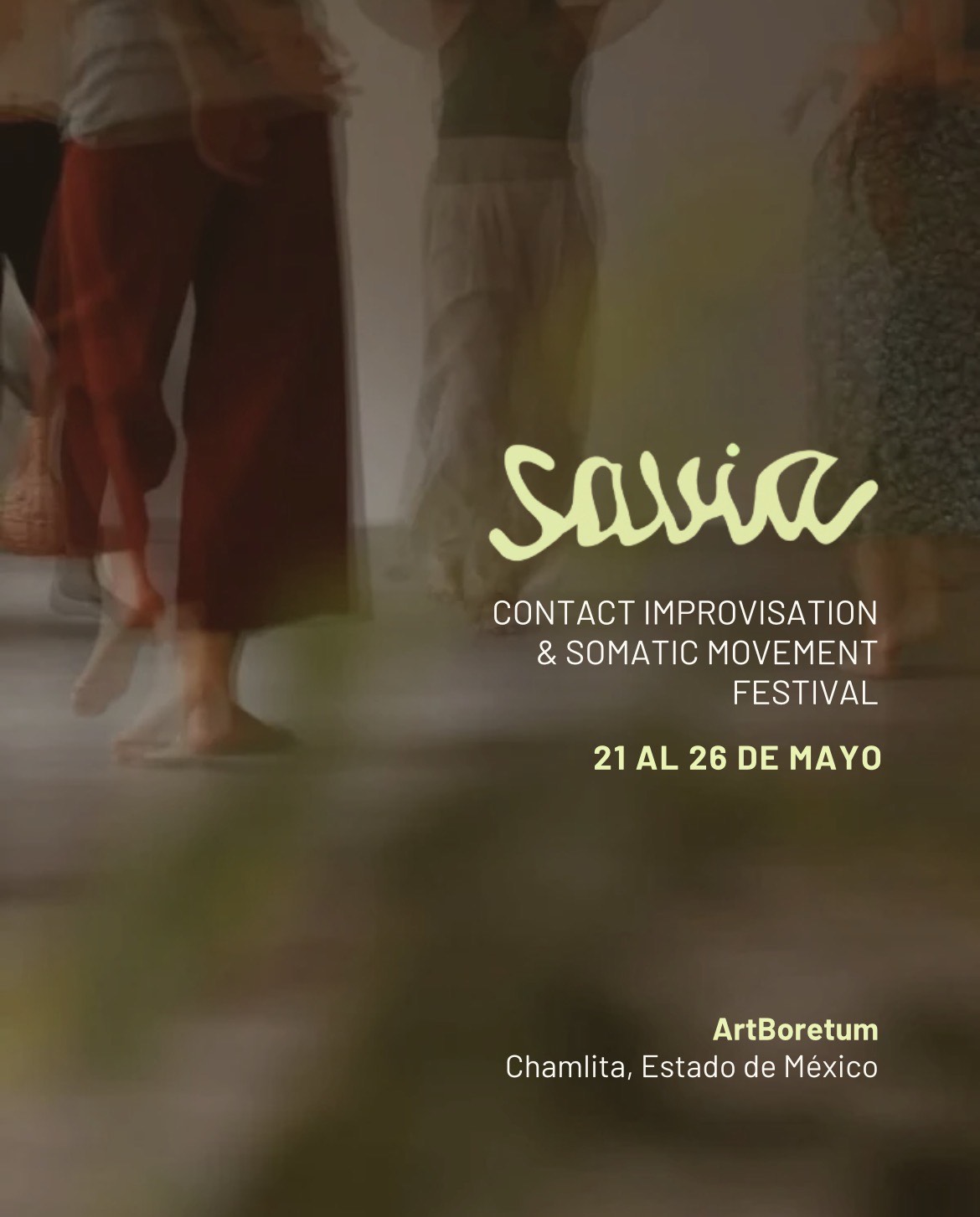 Nina Martin at SAVIA Festival